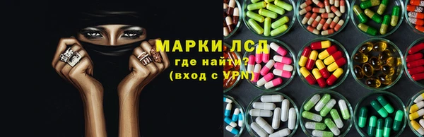 гашик Нея
