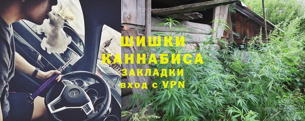 гашик Нея