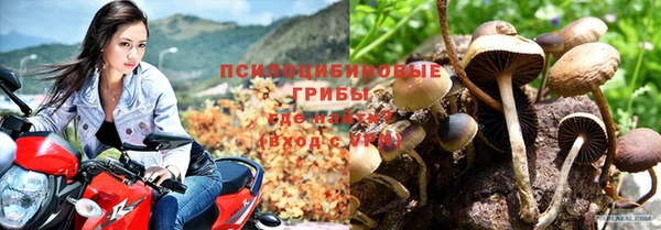 гашик Нея